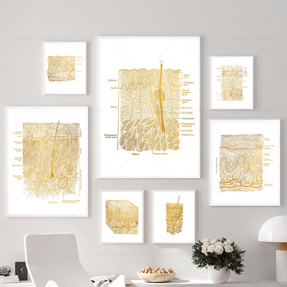 Skincare Ls - (2D canvas schilderij) Huidverzorging Anatomie Posters