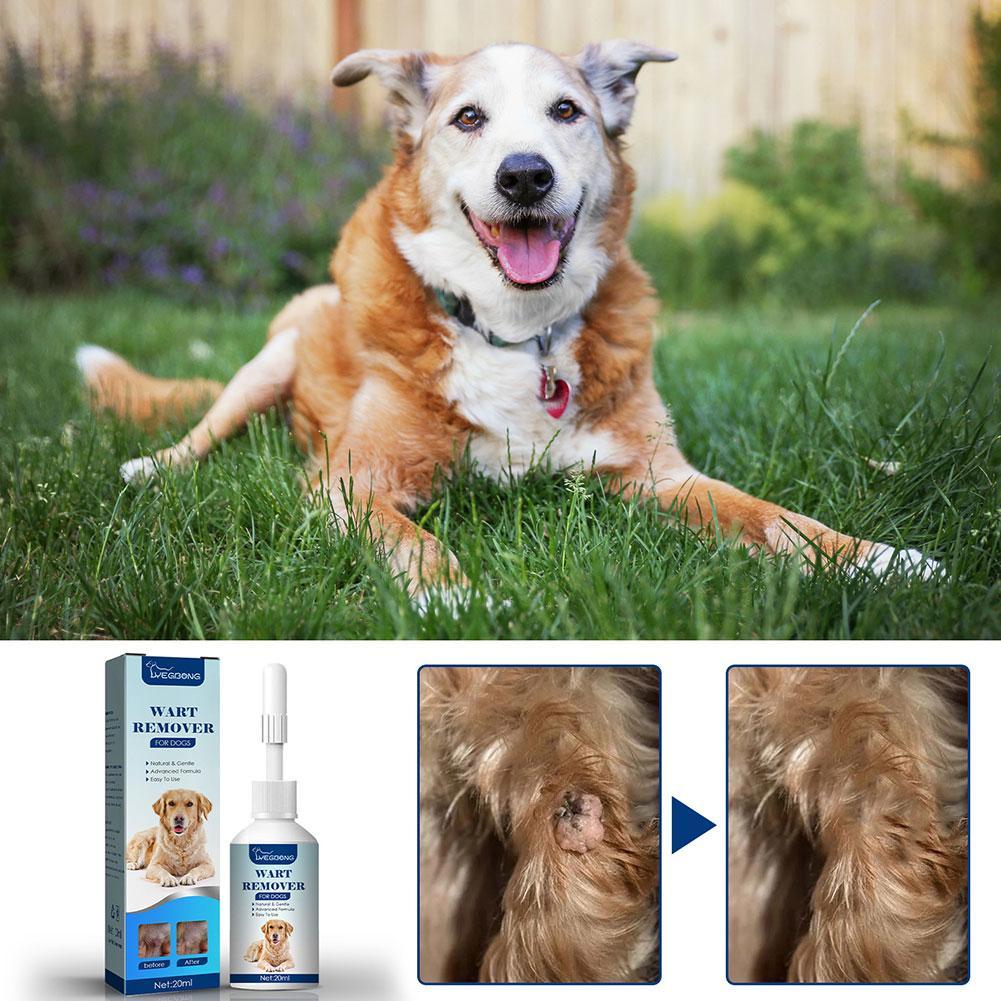 Huisdieren Hond Wrat Verwijder - Skincare Animate recensie en prijs